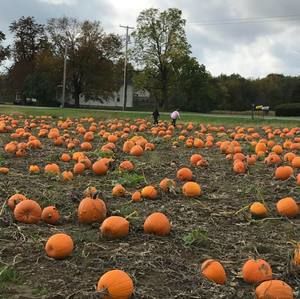 Meet your Posher, Jen